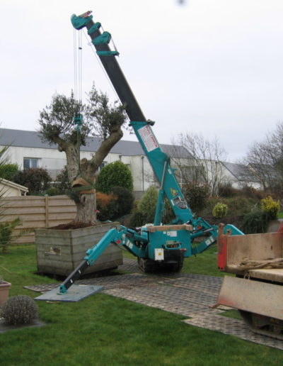 grue-araignée-sur-chenilles-1-400x516